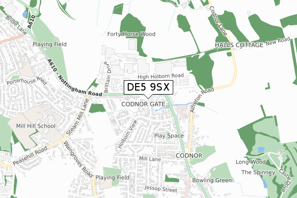 DE5 9SX map - small scale - OS Open Zoomstack (Ordnance Survey)