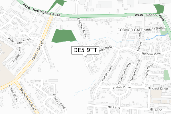 DE5 9TT map - large scale - OS Open Zoomstack (Ordnance Survey)