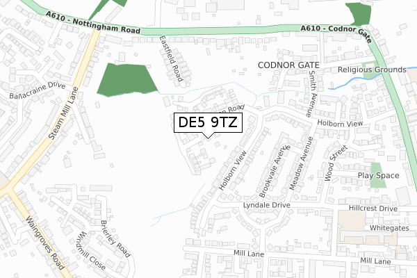 DE5 9TZ map - large scale - OS Open Zoomstack (Ordnance Survey)