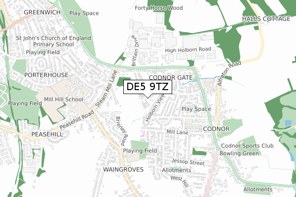 DE5 9TZ map - small scale - OS Open Zoomstack (Ordnance Survey)