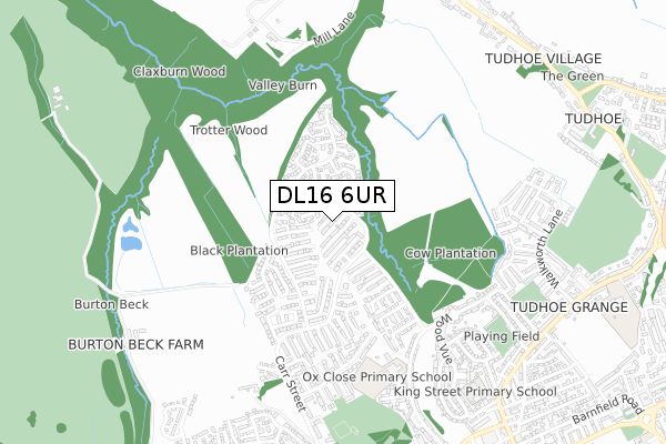 DL16 6UR map - small scale - OS Open Zoomstack (Ordnance Survey)