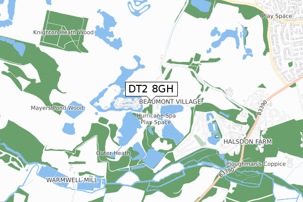 DT2 8GH map - small scale - OS Open Zoomstack (Ordnance Survey)