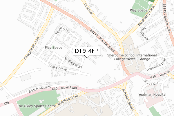 DT9 4FP map - large scale - OS Open Zoomstack (Ordnance Survey)