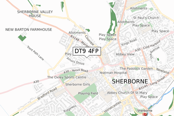 DT9 4FP map - small scale - OS Open Zoomstack (Ordnance Survey)