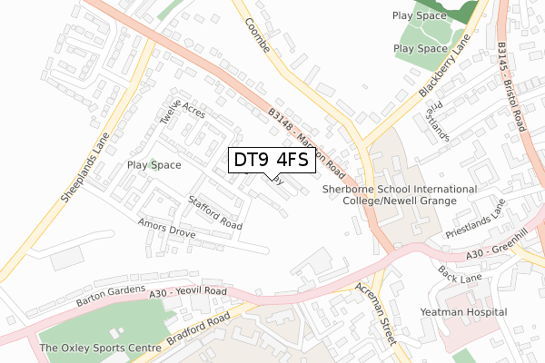 DT9 4FS map - large scale - OS Open Zoomstack (Ordnance Survey)