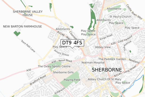 DT9 4FS map - small scale - OS Open Zoomstack (Ordnance Survey)