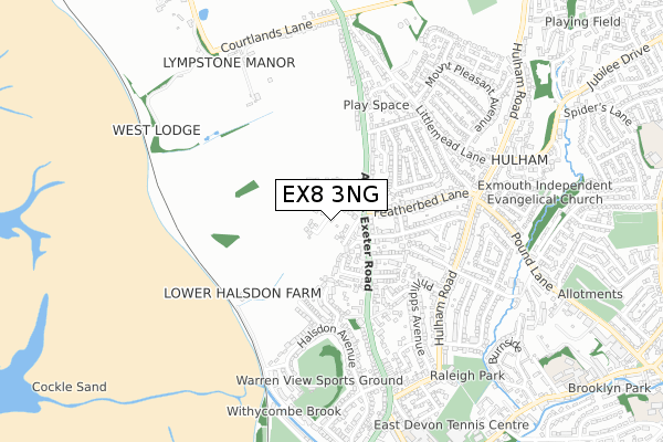 EX8 3NG map - small scale - OS Open Zoomstack (Ordnance Survey)