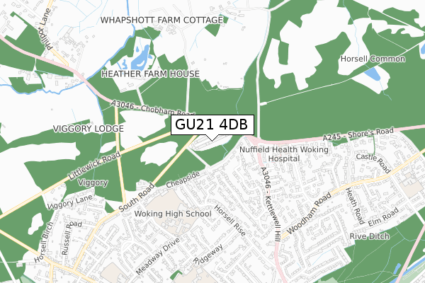 GU21 4DB map - small scale - OS Open Zoomstack (Ordnance Survey)