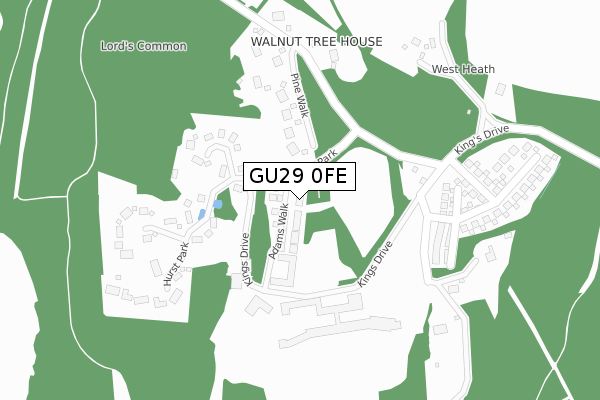 GU29 0FE map - large scale - OS Open Zoomstack (Ordnance Survey)