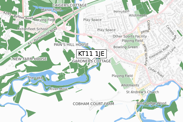 KT11 1JE map - small scale - OS Open Zoomstack (Ordnance Survey)