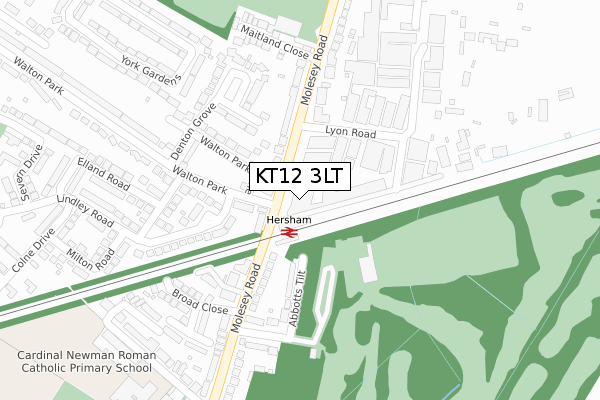 KT12 3LT map - large scale - OS Open Zoomstack (Ordnance Survey)