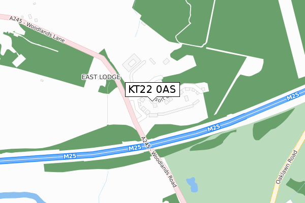 KT22 0AS map - large scale - OS Open Zoomstack (Ordnance Survey)