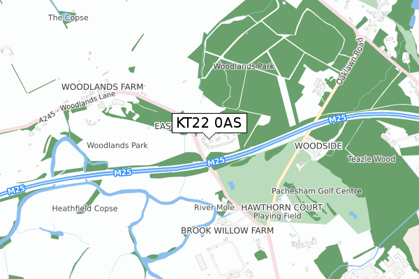 KT22 0AS map - small scale - OS Open Zoomstack (Ordnance Survey)