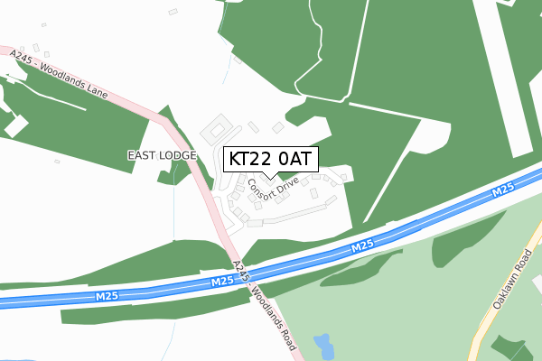 KT22 0AT map - large scale - OS Open Zoomstack (Ordnance Survey)