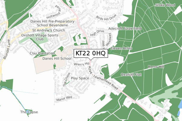 KT22 0HQ map - small scale - OS Open Zoomstack (Ordnance Survey)