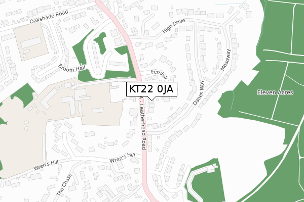 KT22 0JA map - large scale - OS Open Zoomstack (Ordnance Survey)