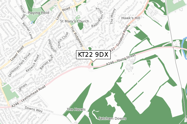 KT22 9DX map - small scale - OS Open Zoomstack (Ordnance Survey)