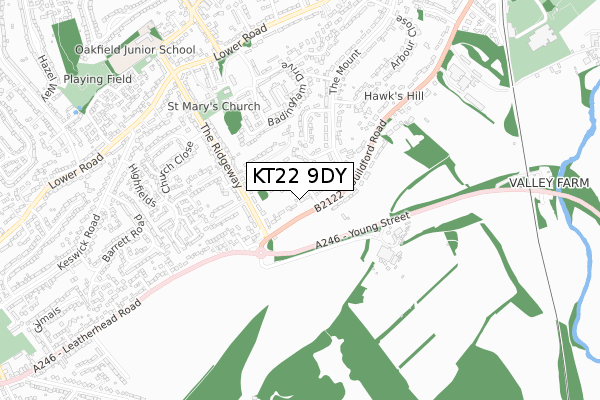 KT22 9DY map - small scale - OS Open Zoomstack (Ordnance Survey)