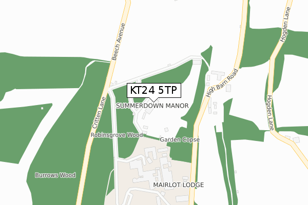 KT24 5TP map - large scale - OS Open Zoomstack (Ordnance Survey)