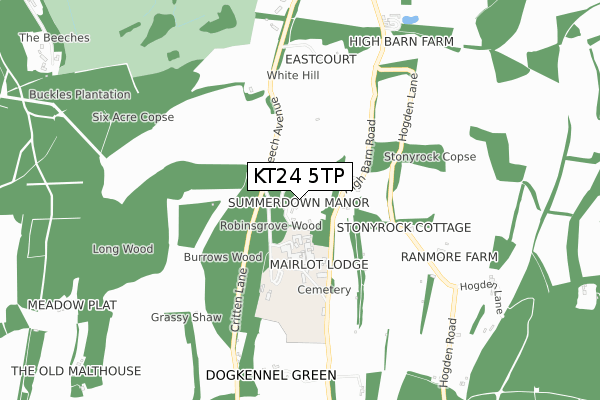 KT24 5TP map - small scale - OS Open Zoomstack (Ordnance Survey)