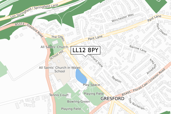 LL12 8PY map - large scale - OS Open Zoomstack (Ordnance Survey)