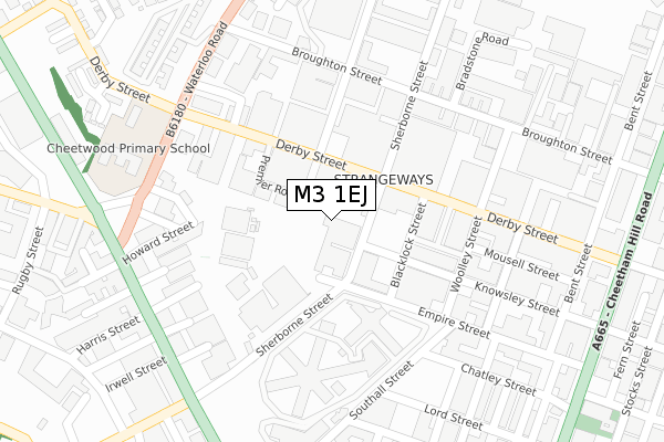 M3 1EJ map - large scale - OS Open Zoomstack (Ordnance Survey)