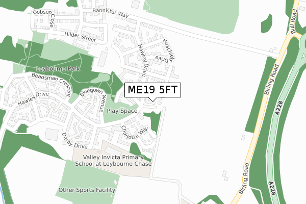 ME19 5FT map - large scale - OS Open Zoomstack (Ordnance Survey)