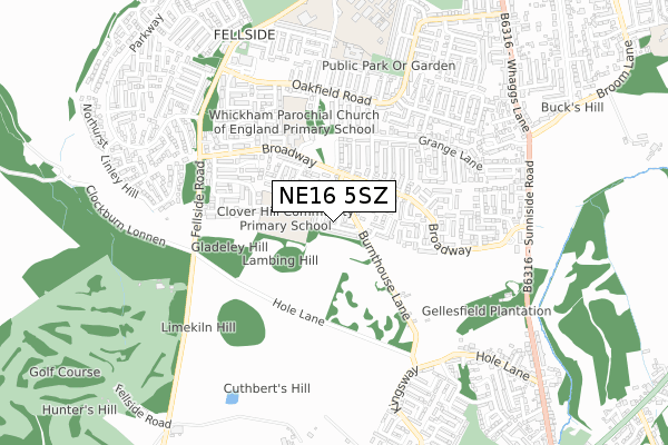 NE16 5SZ map - small scale - OS Open Zoomstack (Ordnance Survey)