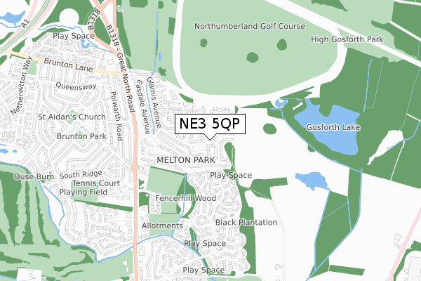 NE3 5QP map - small scale - OS Open Zoomstack (Ordnance Survey)