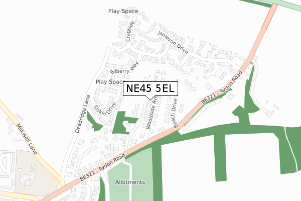 NE45 5EL map - large scale - OS Open Zoomstack (Ordnance Survey)