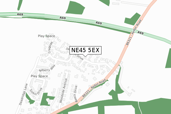 NE45 5EX map - large scale - OS Open Zoomstack (Ordnance Survey)