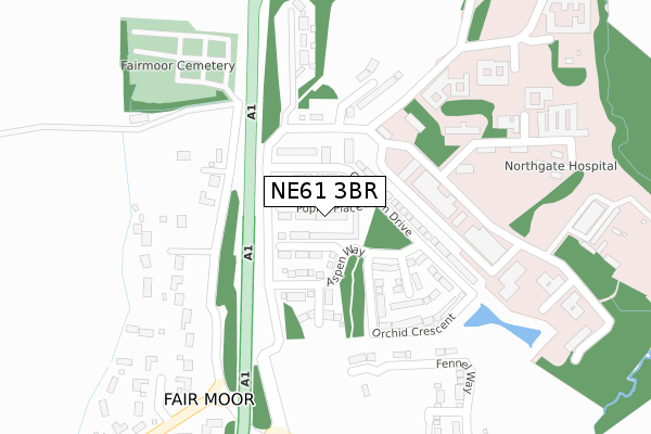 NE61 3BR map - large scale - OS Open Zoomstack (Ordnance Survey)