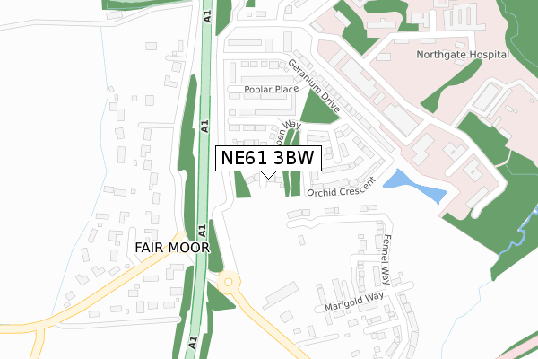 NE61 3BW map - large scale - OS Open Zoomstack (Ordnance Survey)