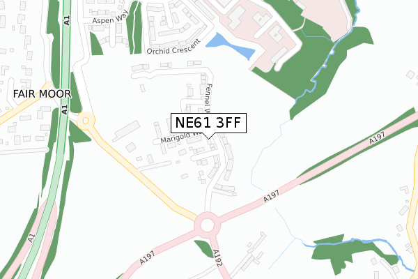 NE61 3FF map - large scale - OS Open Zoomstack (Ordnance Survey)