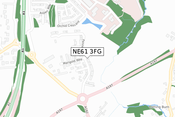 NE61 3FG map - large scale - OS Open Zoomstack (Ordnance Survey)