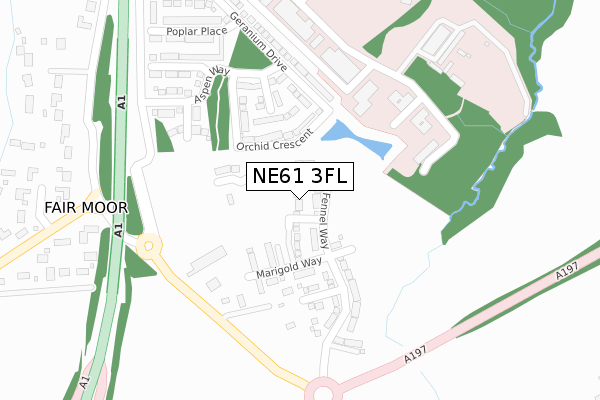 NE61 3FL map - large scale - OS Open Zoomstack (Ordnance Survey)