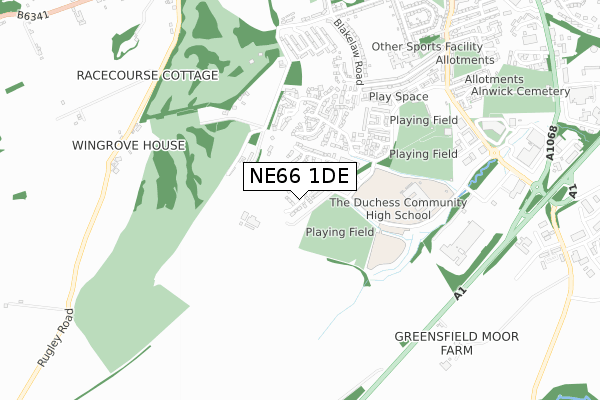 NE66 1DE map - small scale - OS Open Zoomstack (Ordnance Survey)