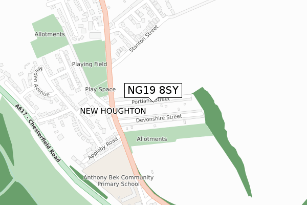 NG19 8SY map - large scale - OS Open Zoomstack (Ordnance Survey)