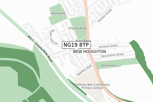 NG19 8TP map - large scale - OS Open Zoomstack (Ordnance Survey)