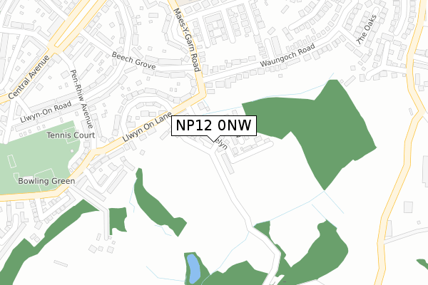 NP12 0NW map - large scale - OS Open Zoomstack (Ordnance Survey)