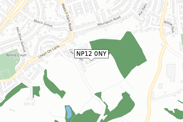 NP12 0NY map - large scale - OS Open Zoomstack (Ordnance Survey)