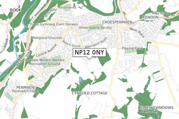 NP12 0NY map - small scale - OS Open Zoomstack (Ordnance Survey)