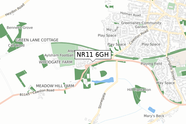 NR11 6GH map - small scale - OS Open Zoomstack (Ordnance Survey)