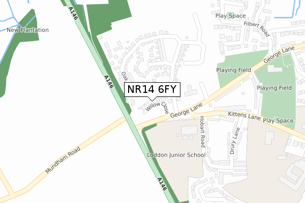 NR14 6FY map - large scale - OS Open Zoomstack (Ordnance Survey)