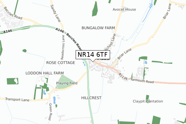 NR14 6TF map - small scale - OS Open Zoomstack (Ordnance Survey)