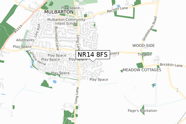 NR14 8FS map - small scale - OS Open Zoomstack (Ordnance Survey)