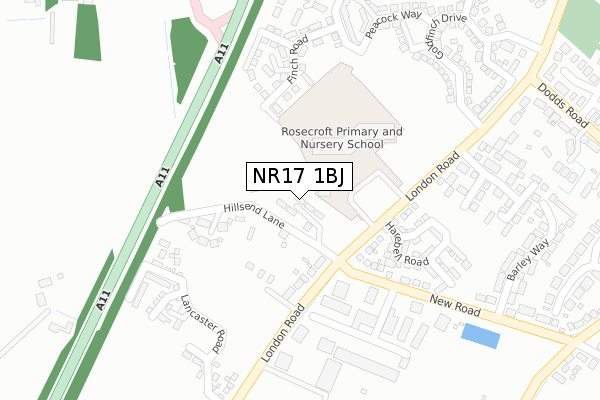 NR17 1BJ map - large scale - OS Open Zoomstack (Ordnance Survey)