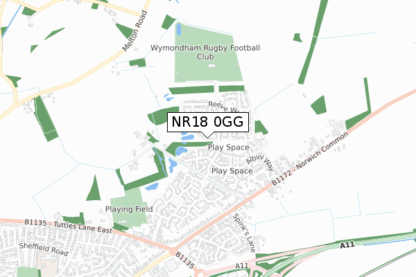 NR18 0GG map - small scale - OS Open Zoomstack (Ordnance Survey)