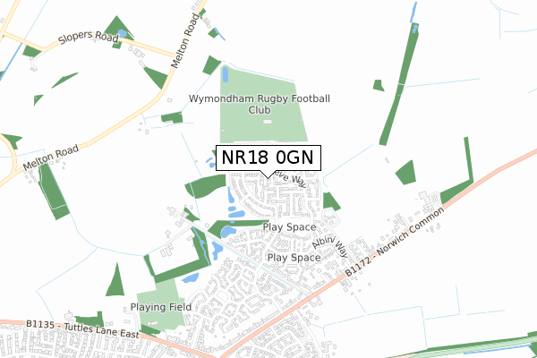 NR18 0GN map - small scale - OS Open Zoomstack (Ordnance Survey)