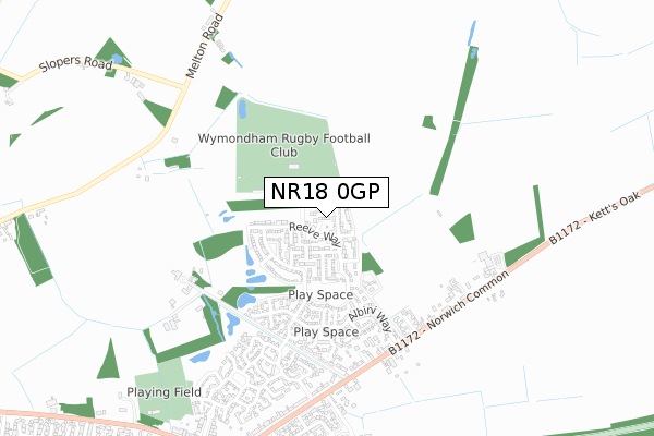 NR18 0GP map - small scale - OS Open Zoomstack (Ordnance Survey)